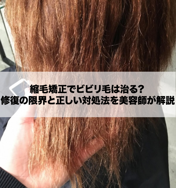 「縮毛矯正でビビリ毛…これ直る？」修復の限界と対処法を美容師が解説